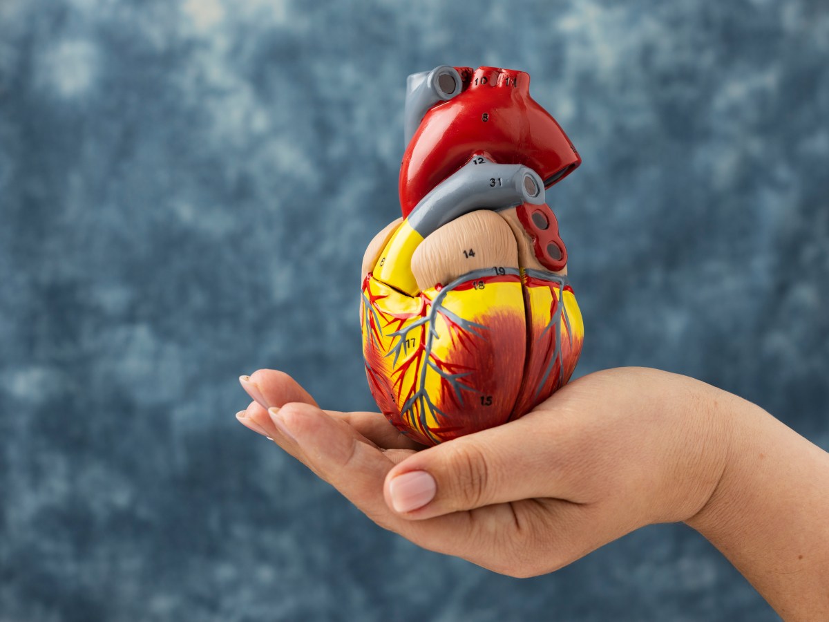 Understanding and Maintaining Vein&nbsp;Health